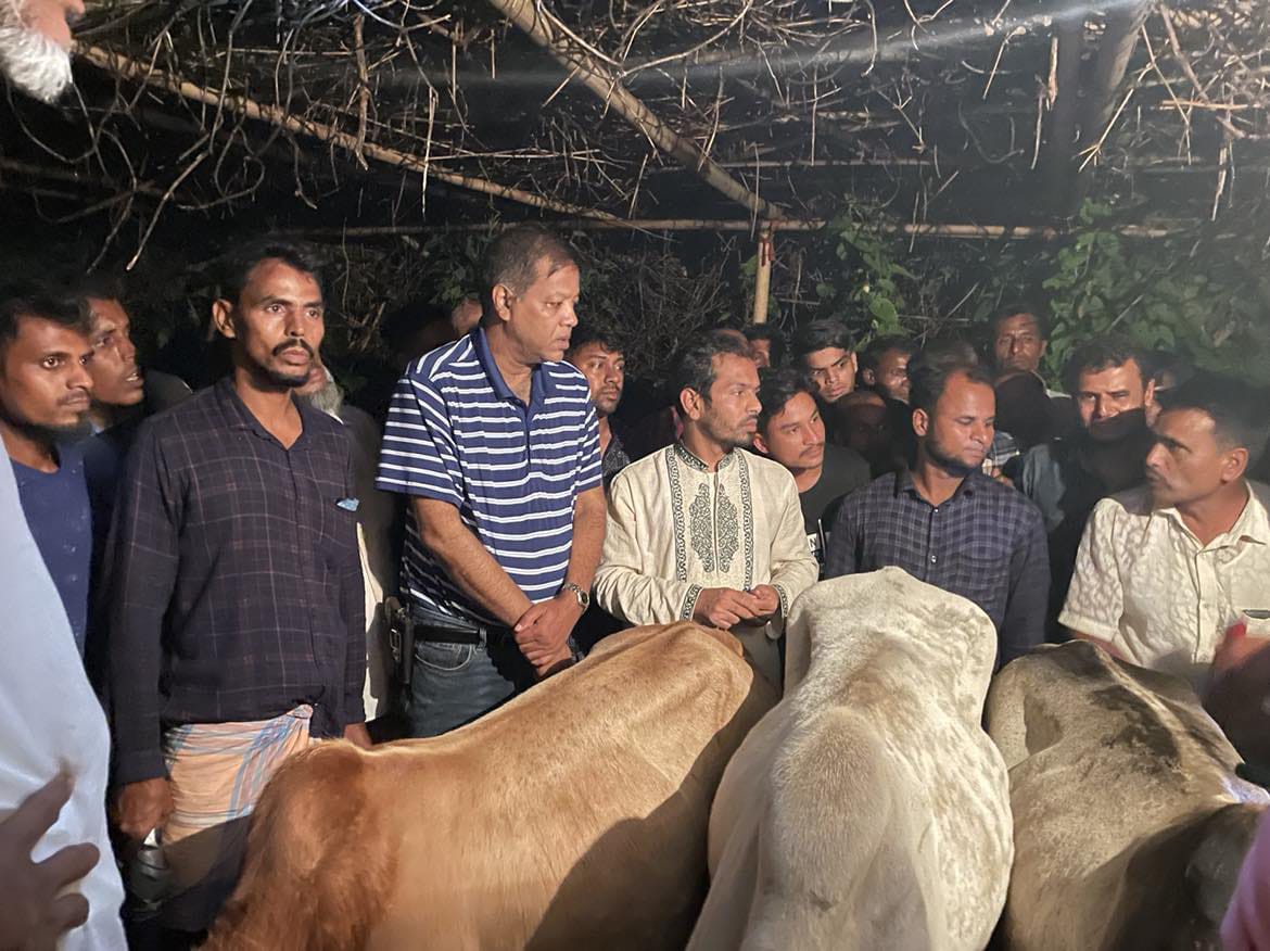 গোয়াইনঘাটে ৪ চোরাই গরুসহ চোর আটক